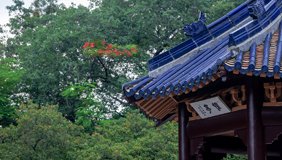 建议先扫读标题与摘要