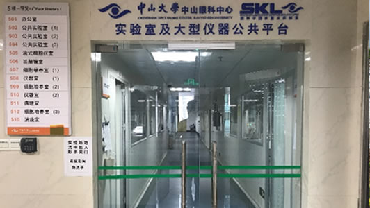 实现人类晶状体再生